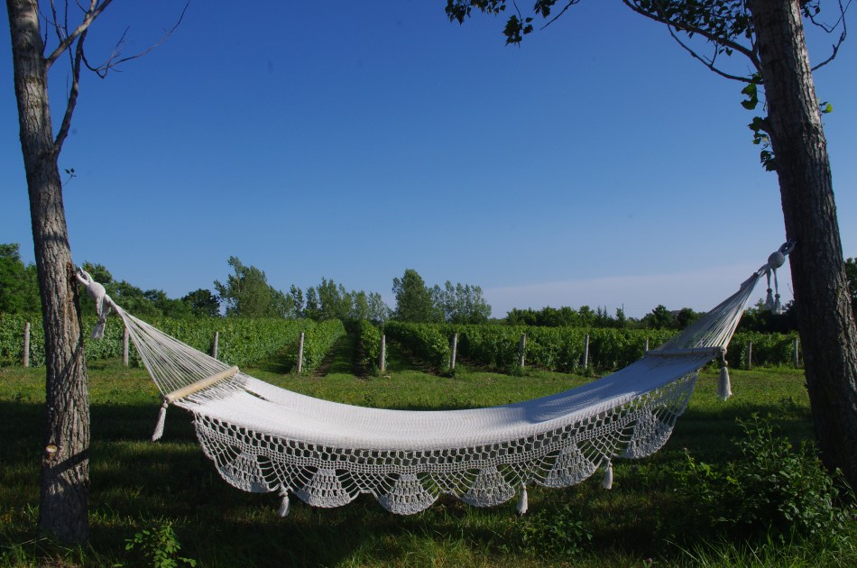 iconic hammock
