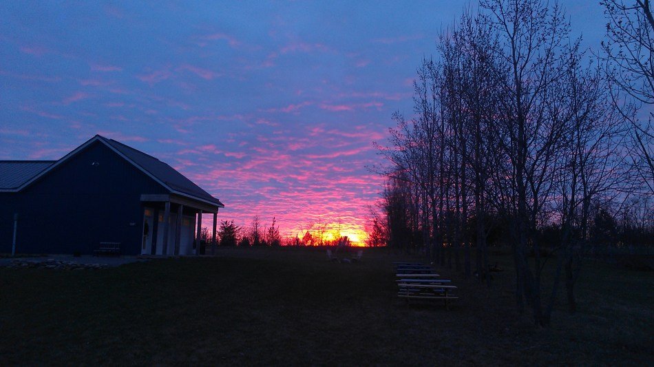 Sunrise at the winery Spring 2015
